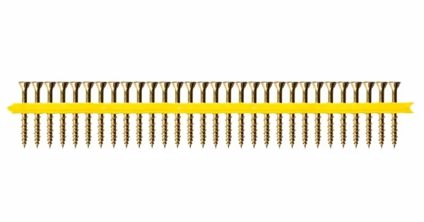 A Strip of Collated Screws Held Together